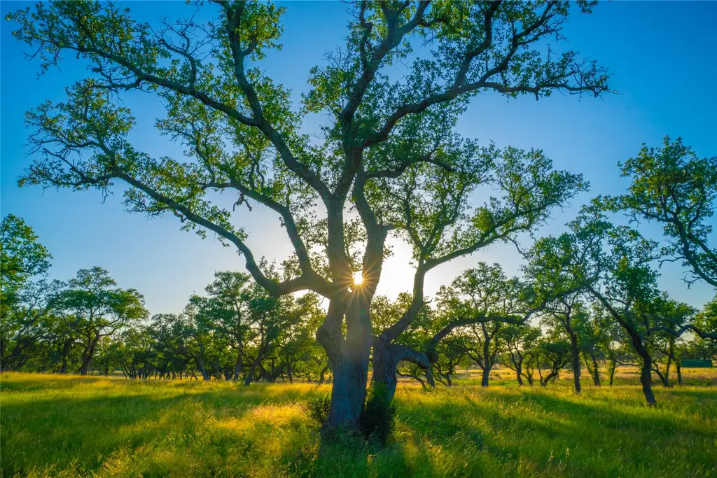 Bountiful Oaks Ranch, Johnson City