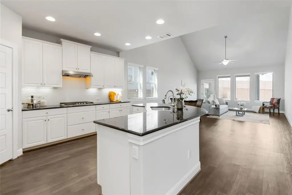 15804 Cinca Terra Drive, Austin