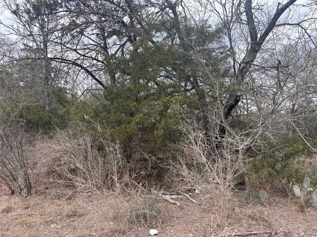 Tbd Pearson Road, Cedar Creek