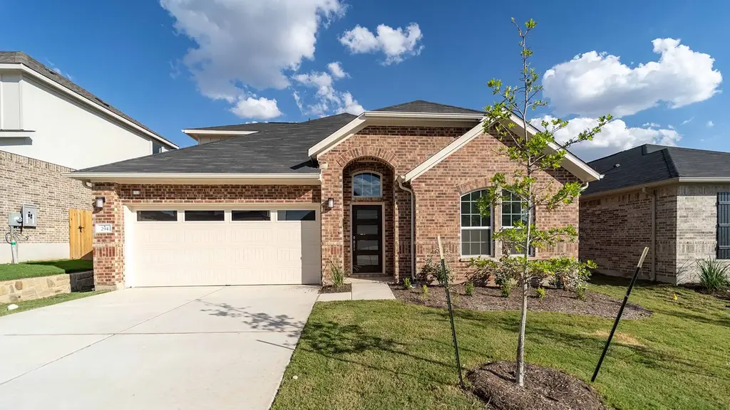 294 Rubber Tree Way, Buda