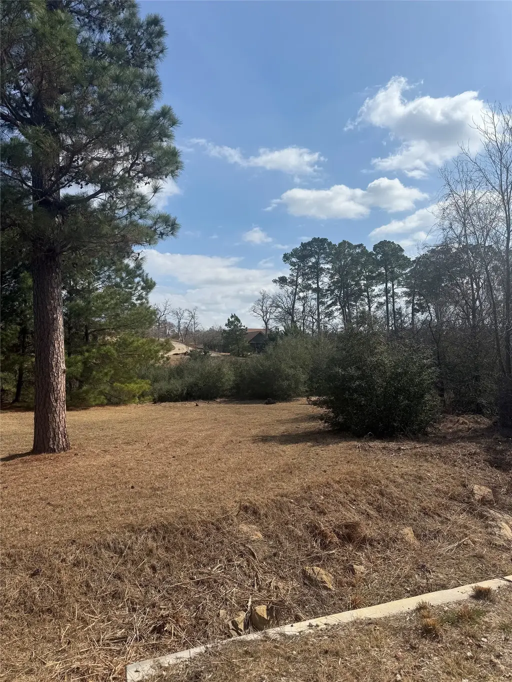 123 Koali Drive, Bastrop