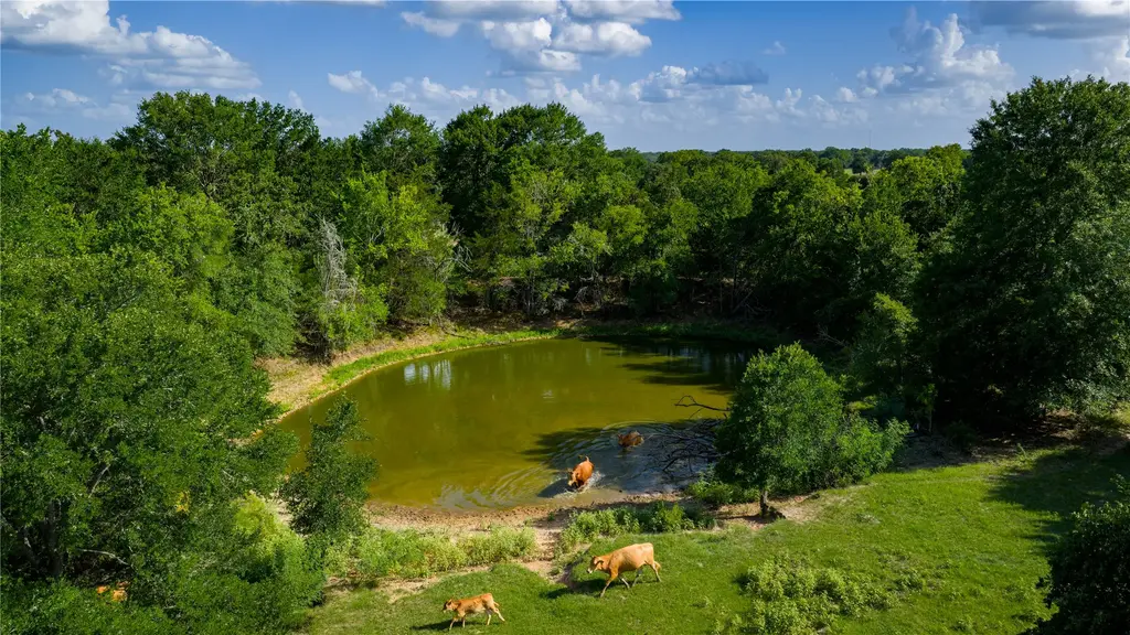 Tbd Fm 2104, Smithville