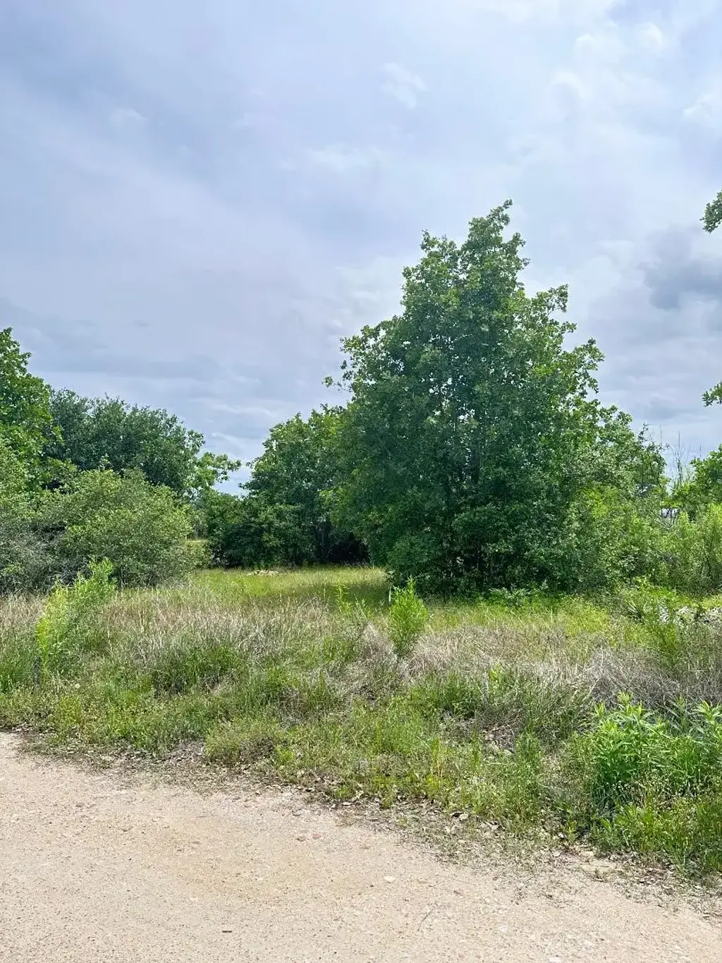 136a Wild Bird Loop, Smithville