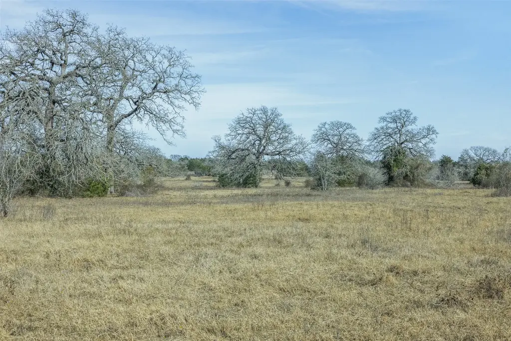 Tbd Cr 200, Giddings