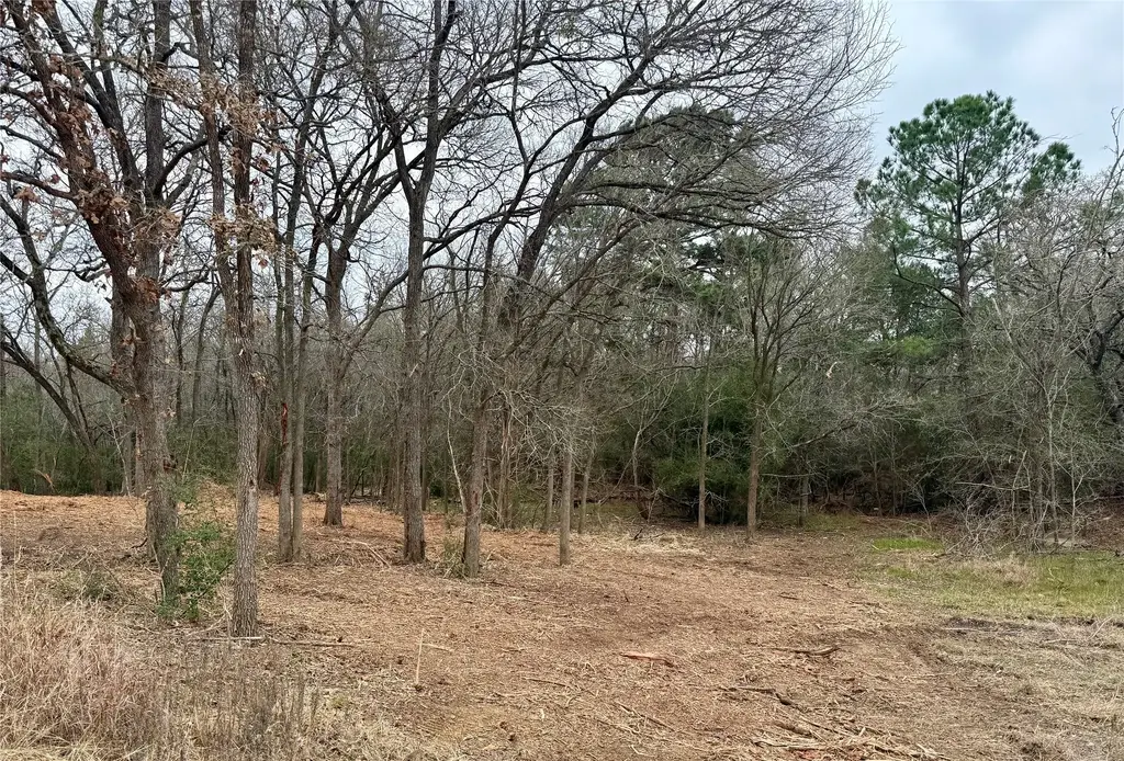 Lot 8 And 9 Meadow Creek Drive, Bastrop