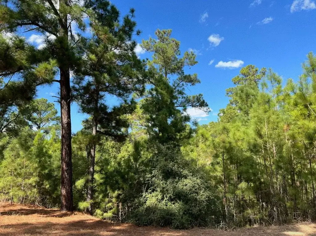 Lot 986 Kailua L Lane, Bastrop