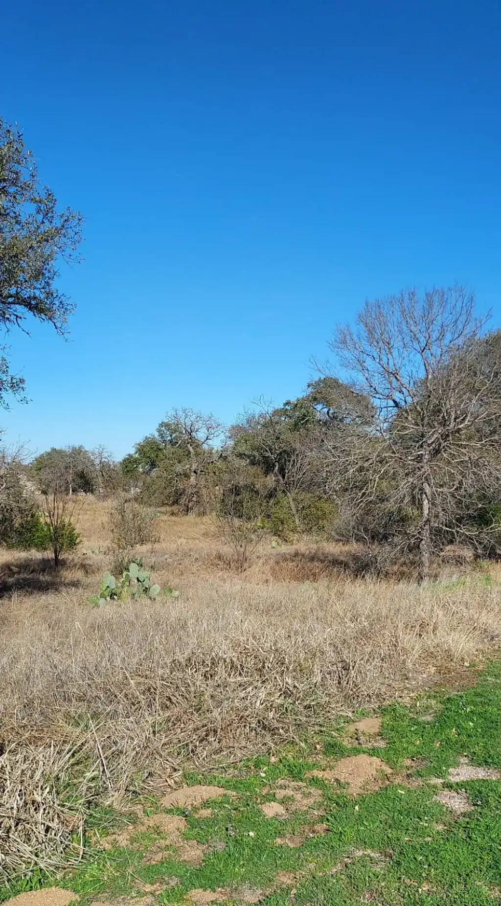 Lot 50 Pristine Pass, Buchanan Dam