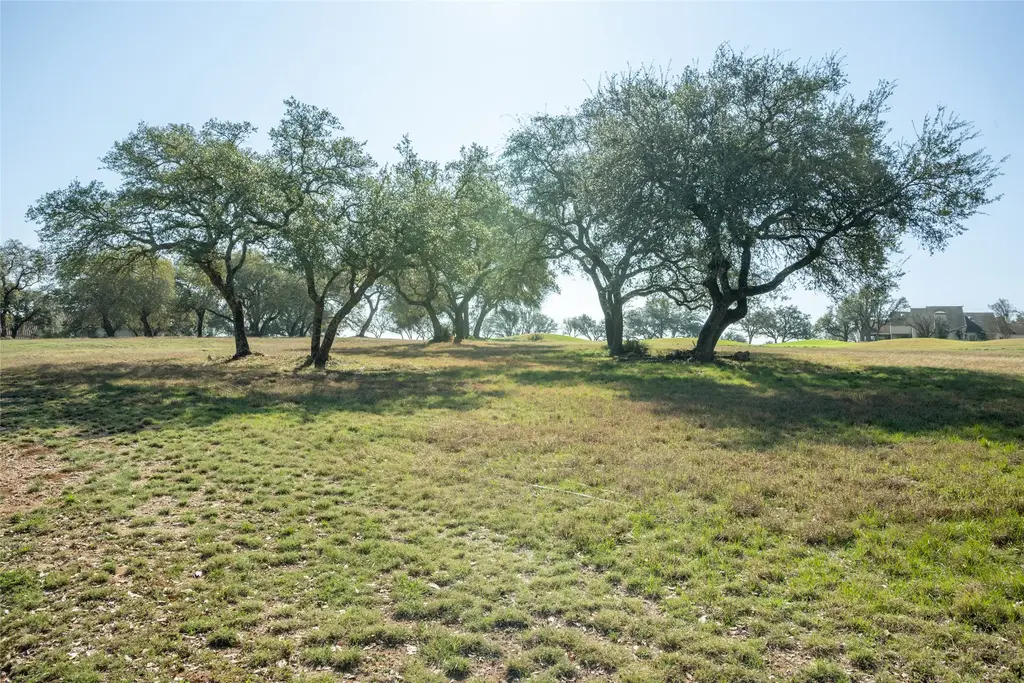 27113 Founders Place, Spicewood