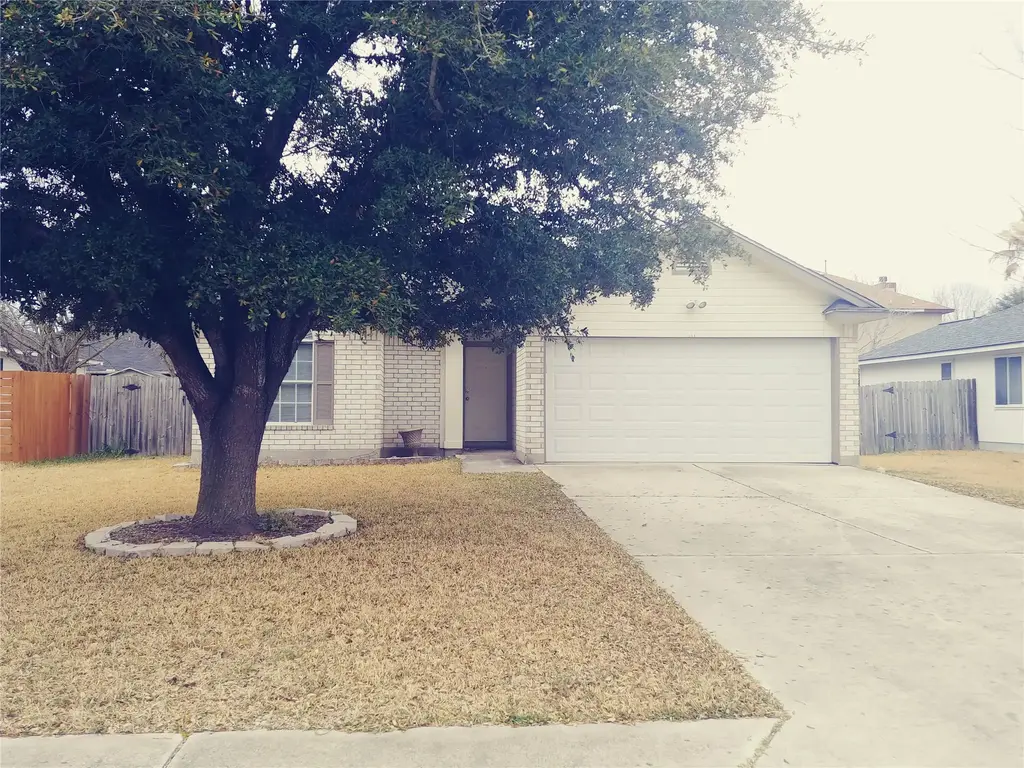 211 Wild Buffalo Drive, Kyle
