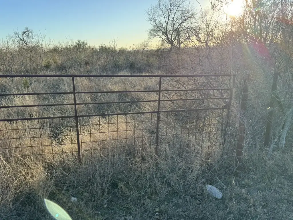Algerita Hill Road, Burnet