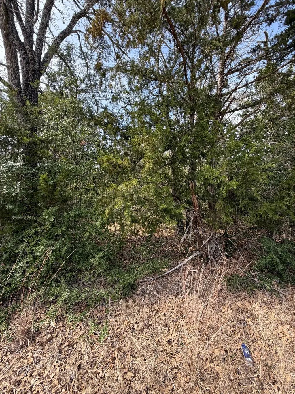 Lot 20 Flint Ridge Street, Bastrop