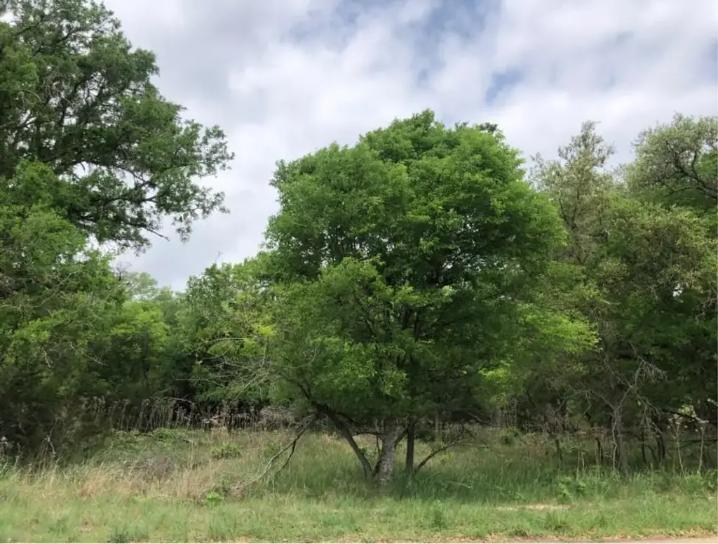 75 E Valley Springs Road, Wimberley
