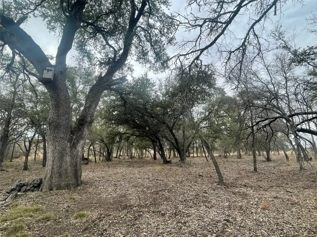 13203 Pr 3642, Lampasas