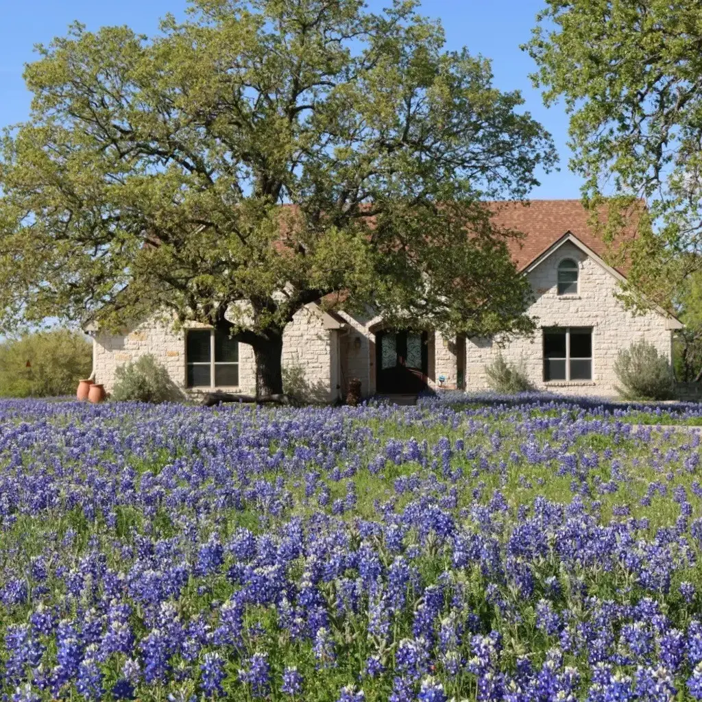120 Oak Meadow Trail, Spicewood