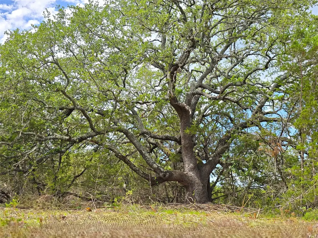 725 Cr 206, Burnet