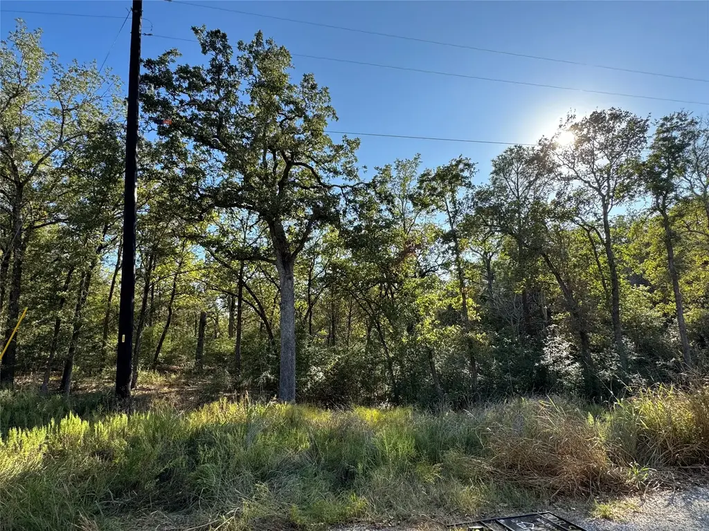 Lot 130 Wailupe Circle, Bastrop
