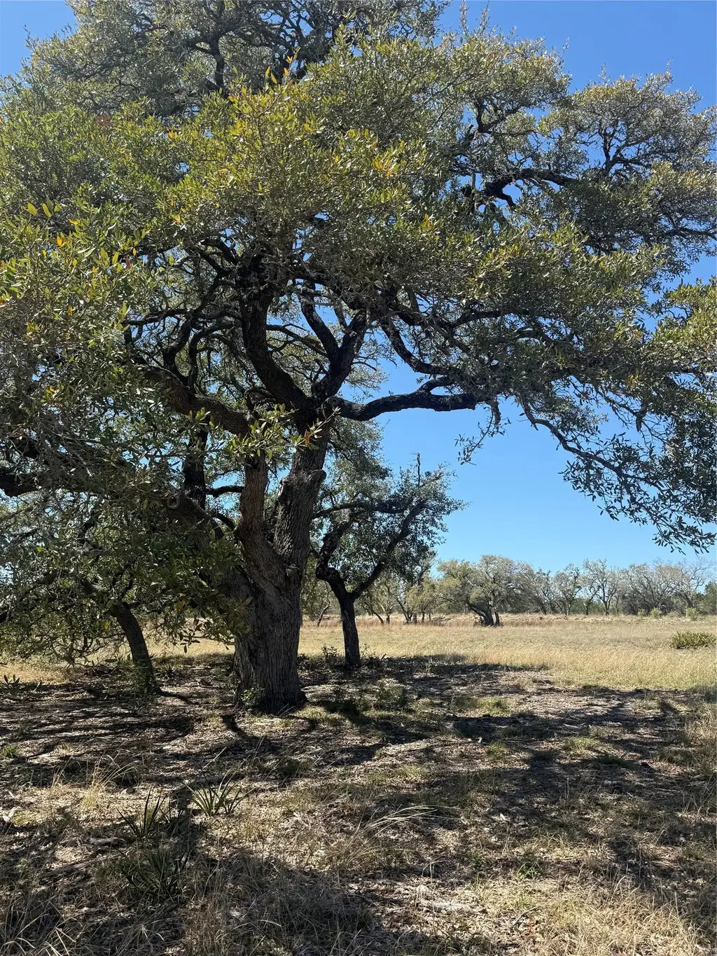 Barton Bend Lot 7 & Lot 6 Bend, Dripping Springs