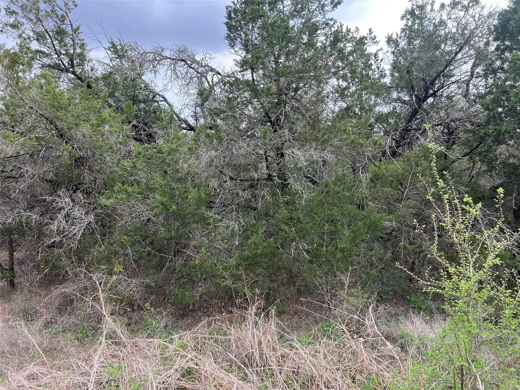 800 Fox Road, San Marcos
