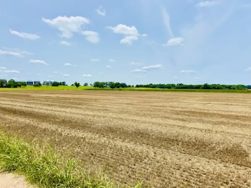 Tbd1 Fm 406, Buckholts