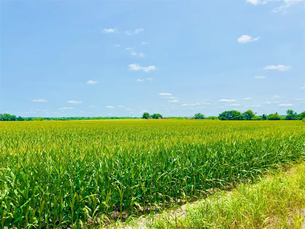 Tbd2 Cr 406, Buckholts