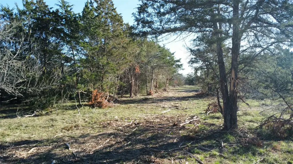Tbd Lot 7 Patterson Road, Flatonia
