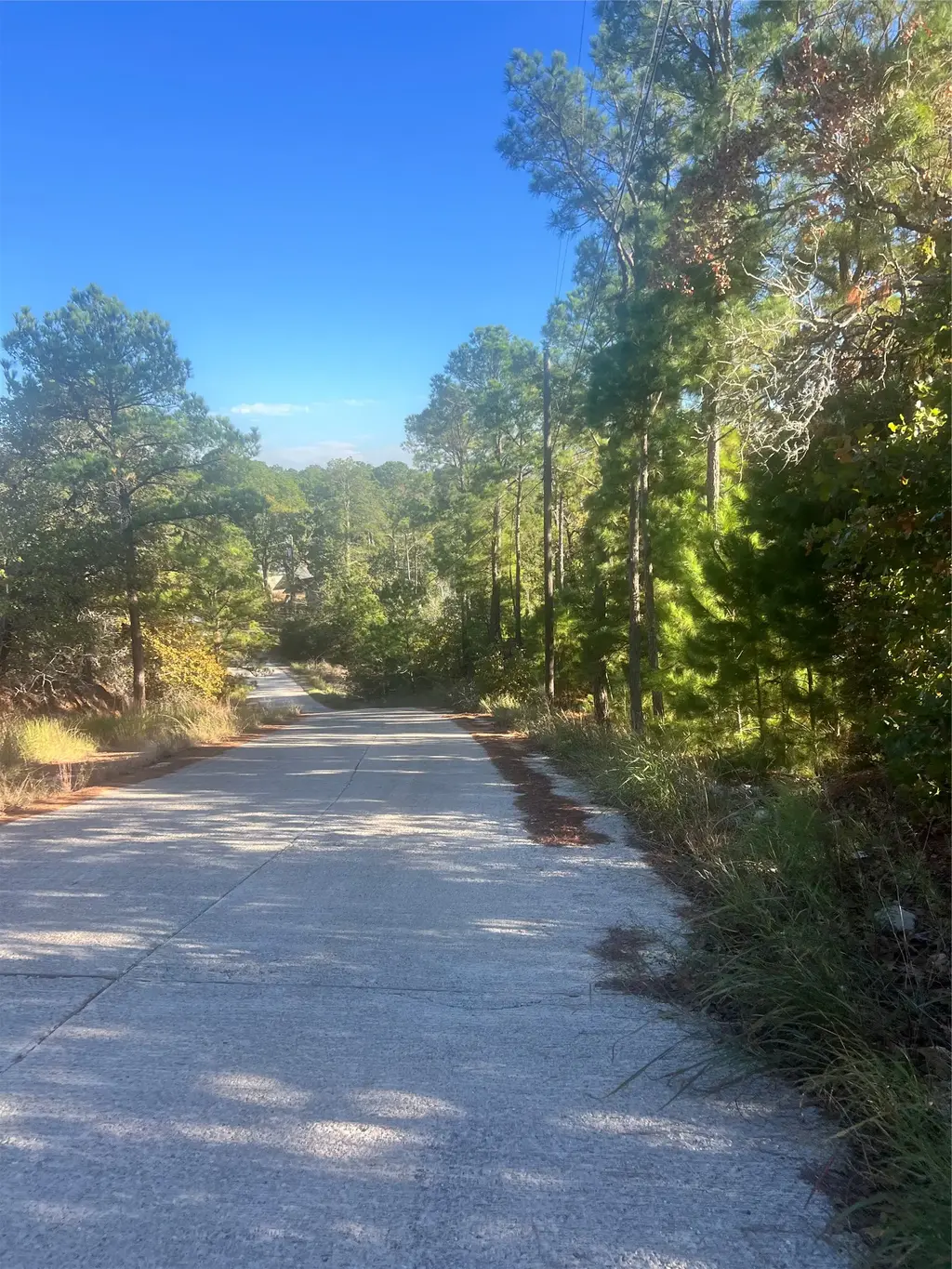 Tbd Onini Court, Bastrop