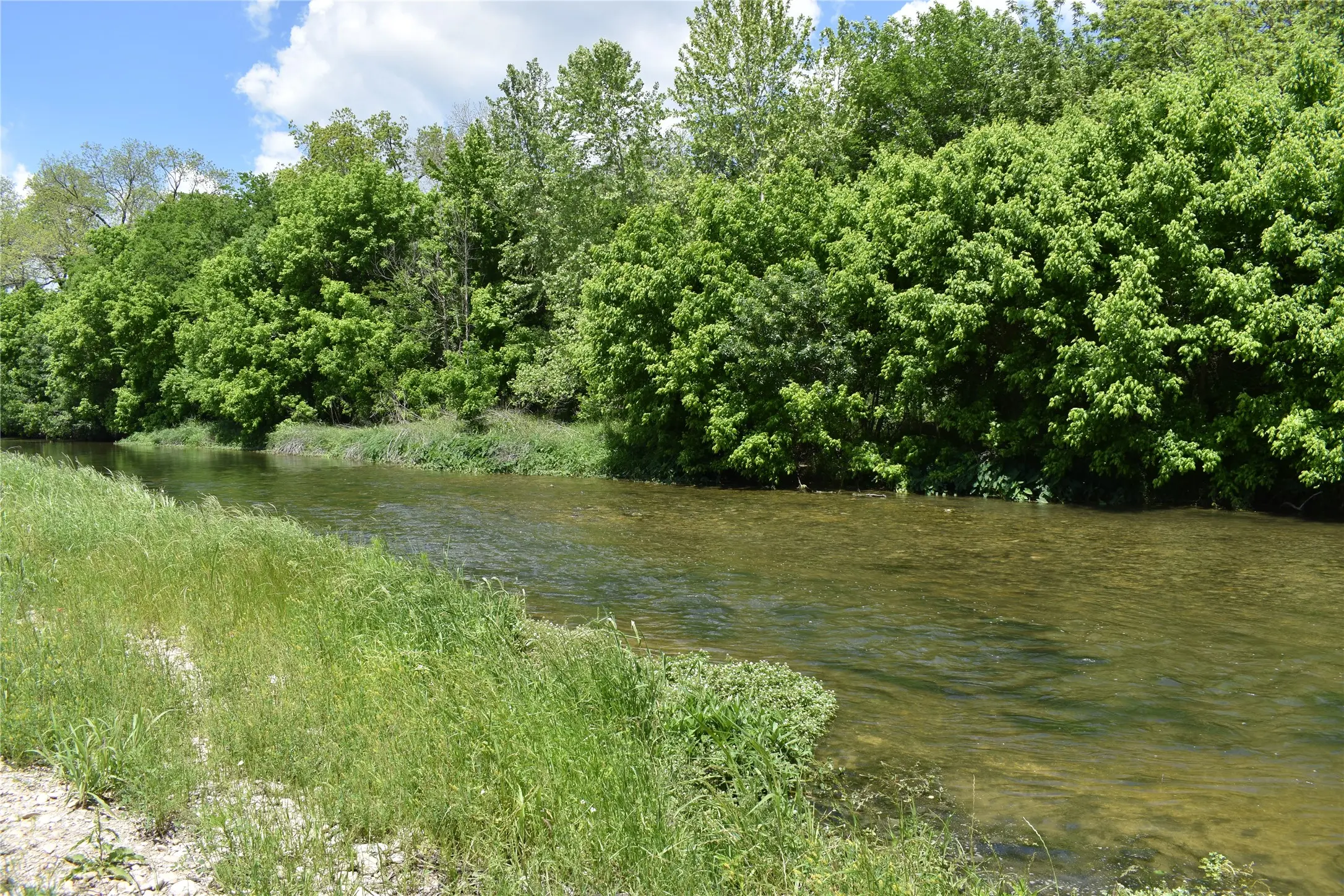 Photo of Listing #4407778