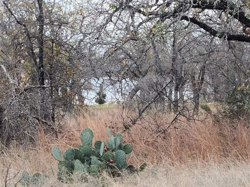 Peg Leg Lane, Buchanan Dam