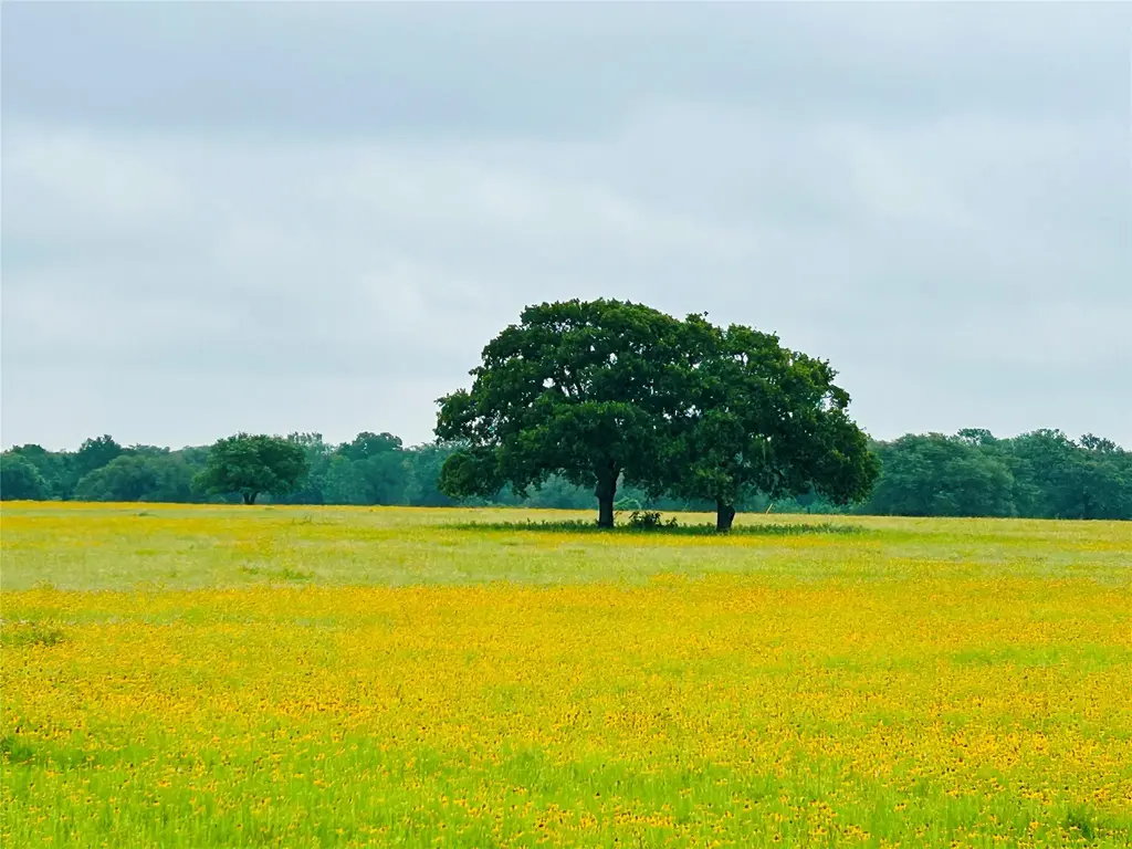 Tbd Lot 5 County Road 127 Road, Ledbetter