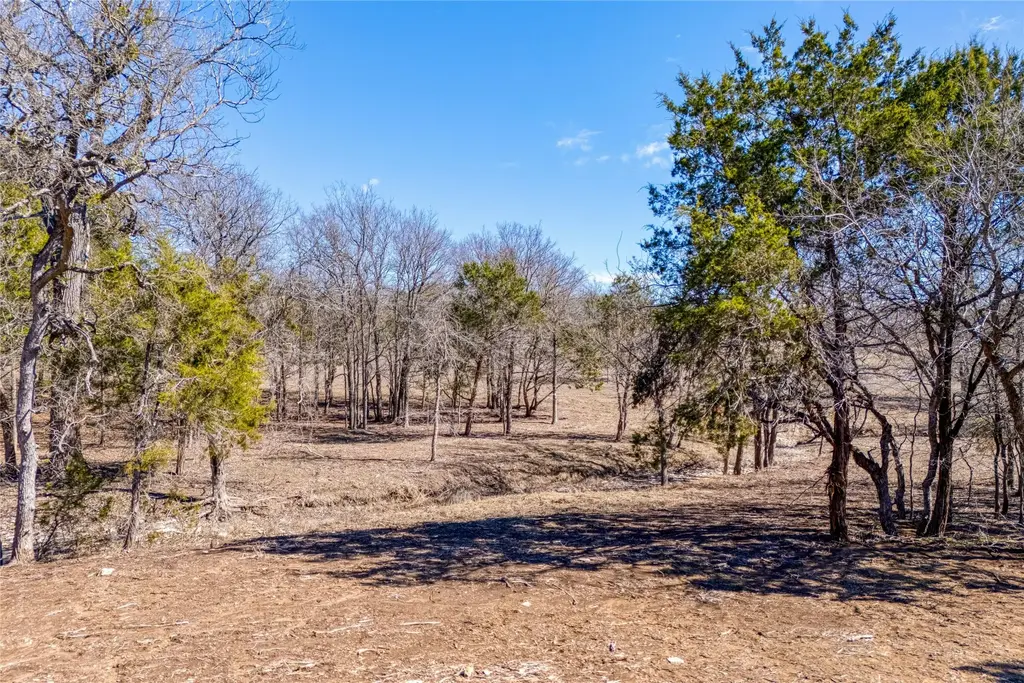 125 Milton Creek Ranch Road, Liberty Hill