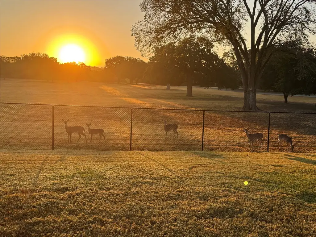 317 Home Place Lane, Salado