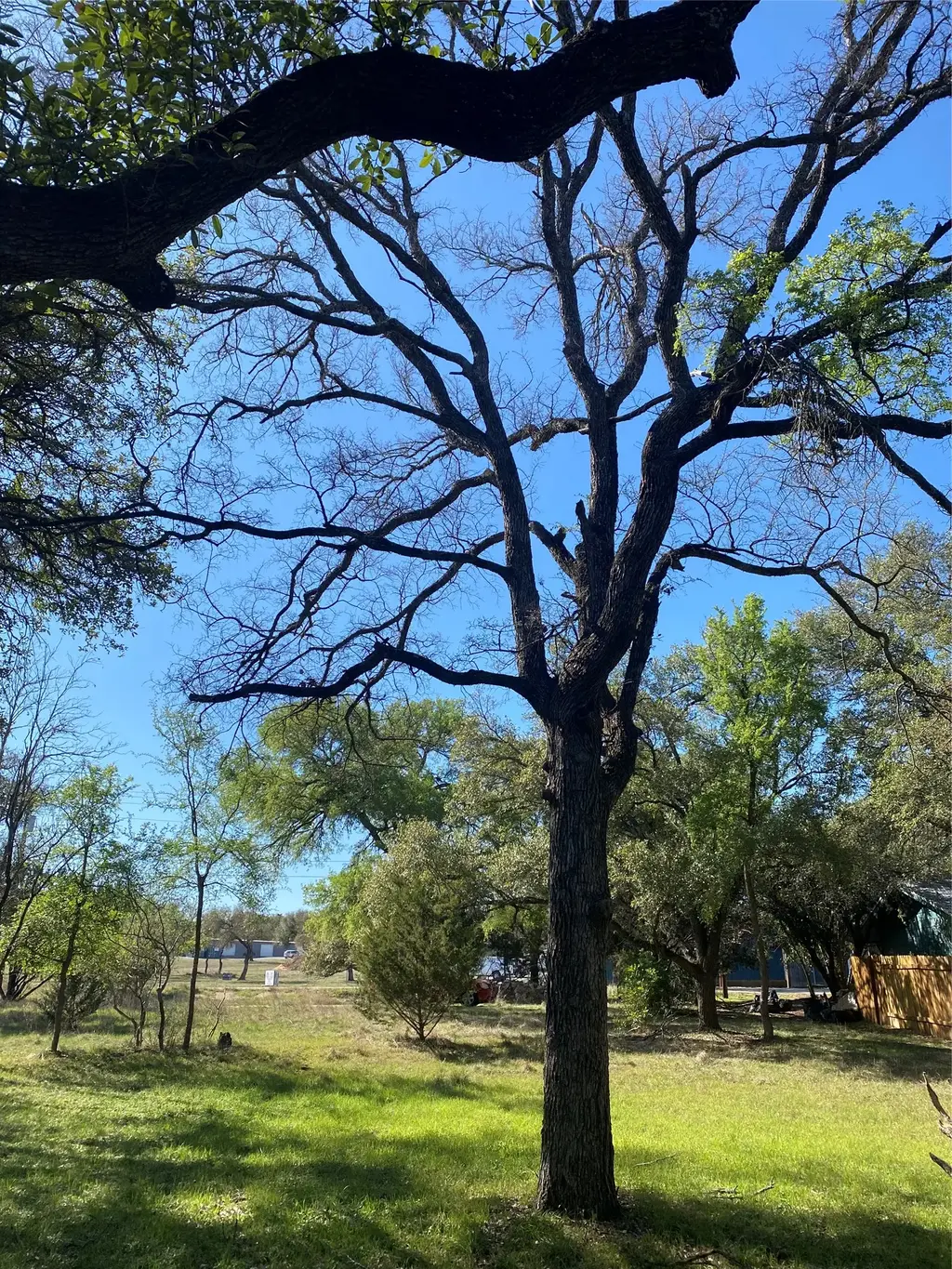 Tbd Las Flores, Wimberley
