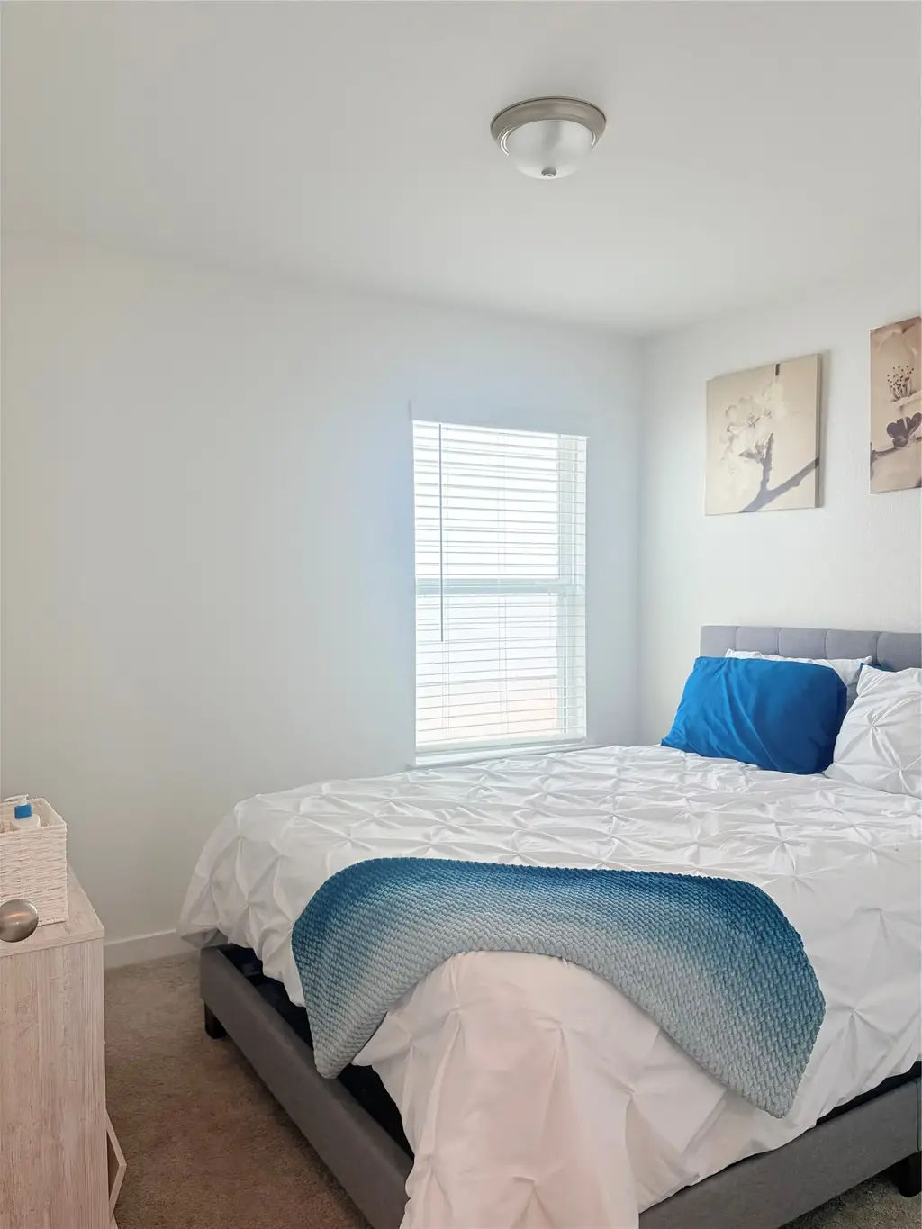 182 Shackleton Drive, Kyle