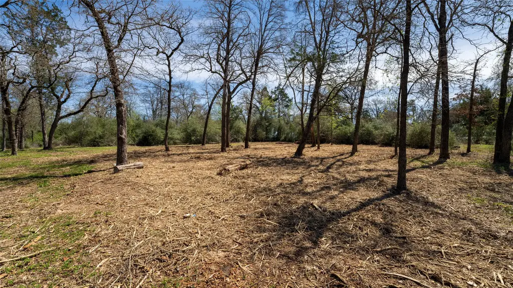1201 County Road 323, Rockdale