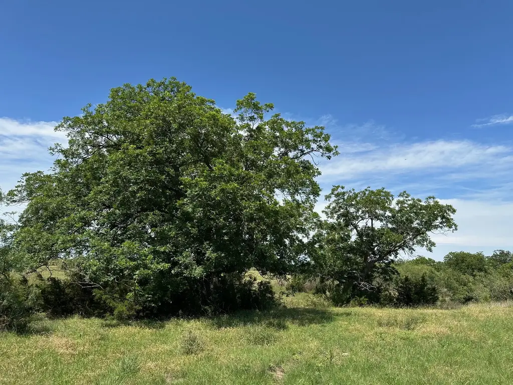45 Acres County Road 330, Bertram