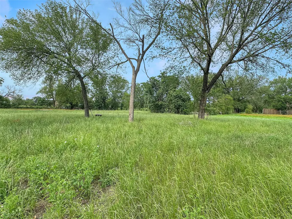 1314 Farm Street, Bastrop