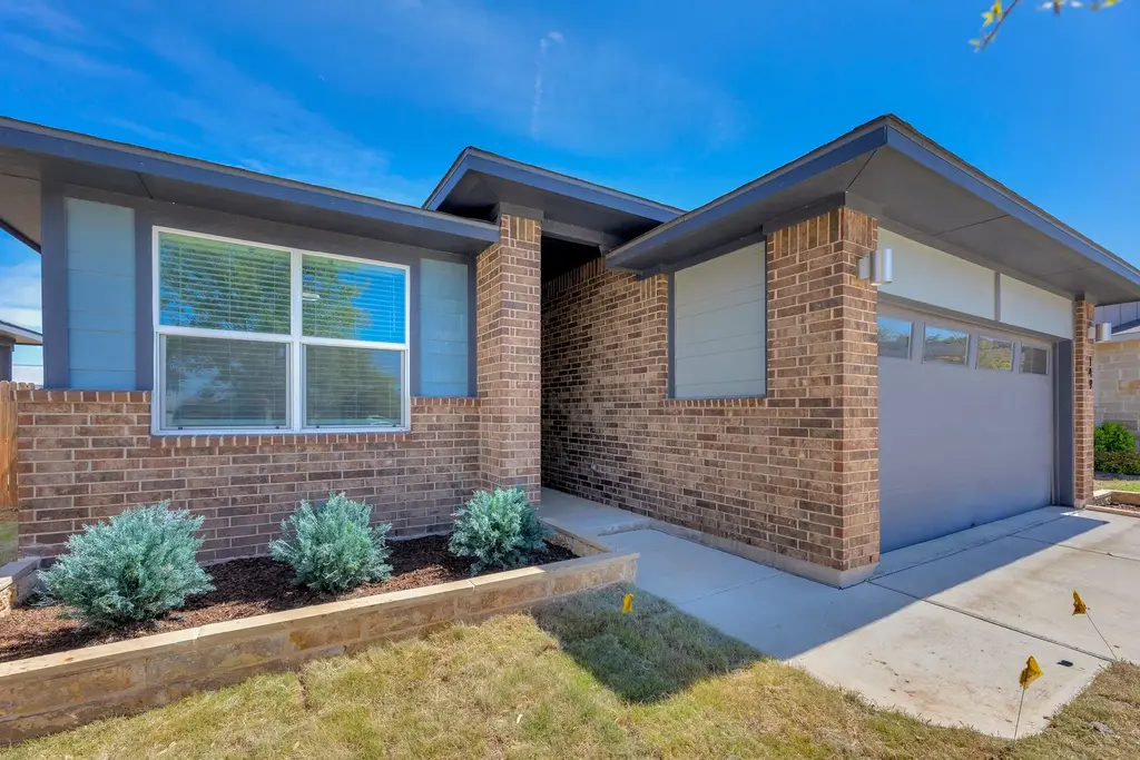 149 Filifera Court, Leander