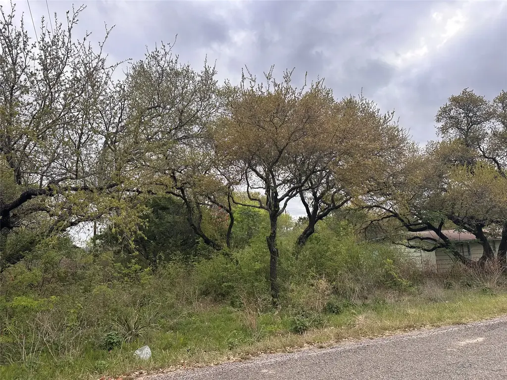 10509 W Lakeview Drive, Jonestown