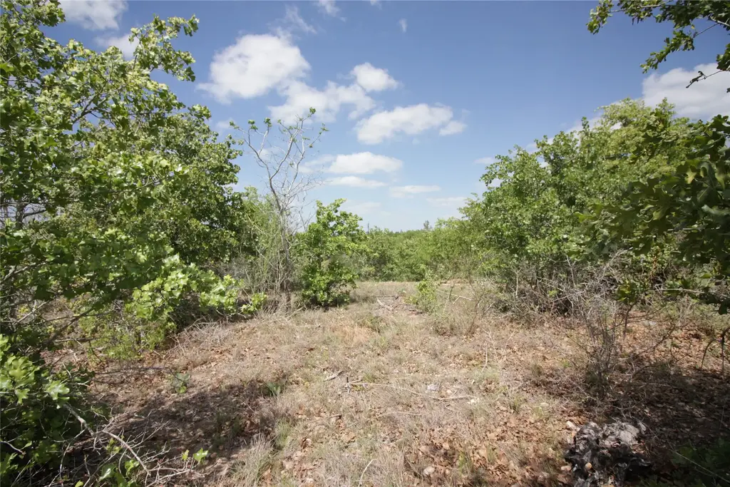 Tbd River Forest Drive, Bastrop