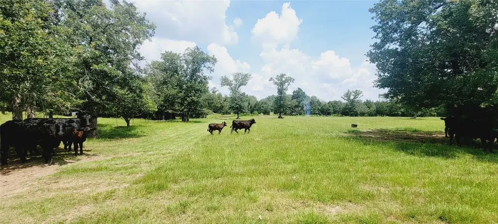 3321 County Road 457, Thorndale