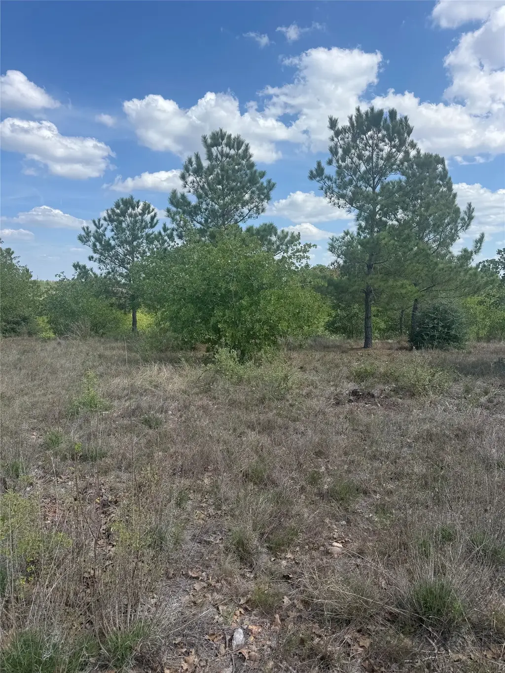 Tbd Lakewood Drive, Bastrop