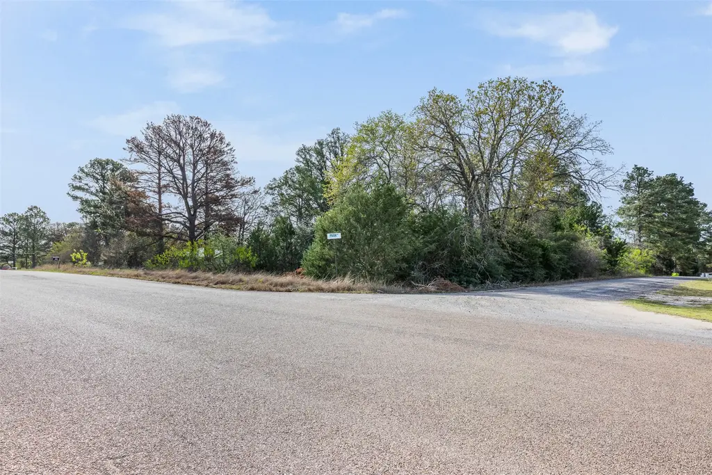 Lot 1 Indian Oak Drive, Bastrop