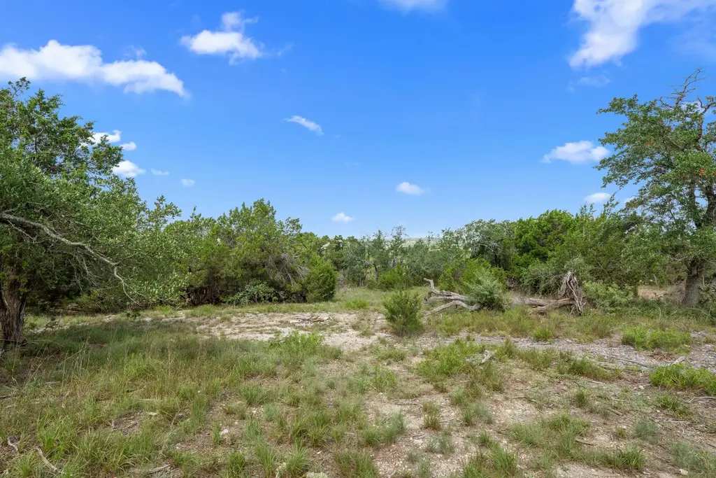 31860 Mirela Ann Road, Dripping Springs