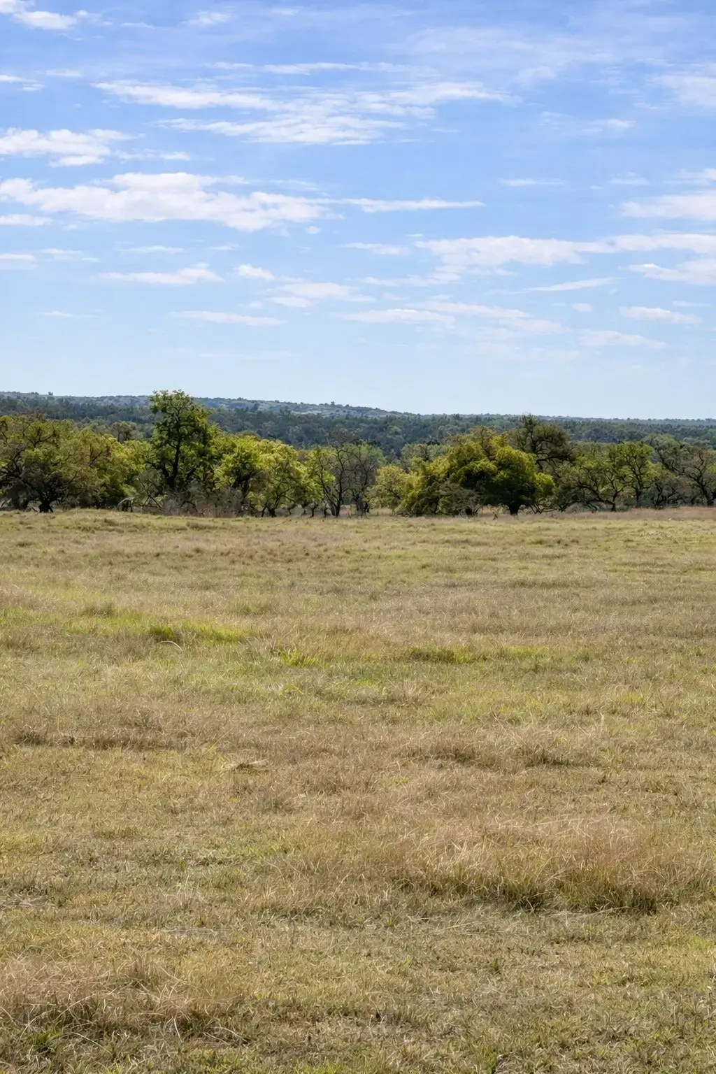 Lot 42 Reeh Road, Fredericksburg