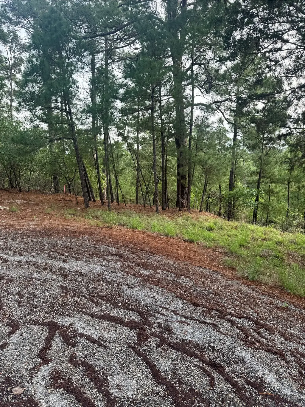 Lot 1492 Haleakala, Bastrop