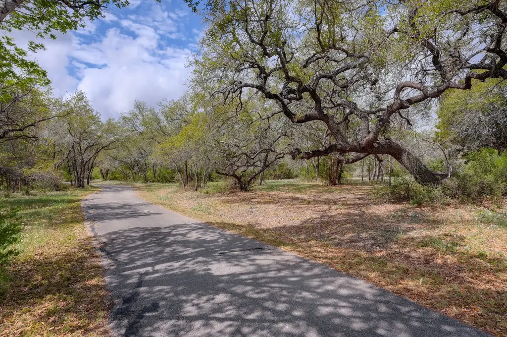 325 Crystal Meadows Drive, Kyle
