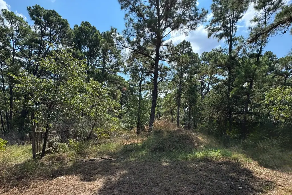 Hula Lane Lane, Bastrop