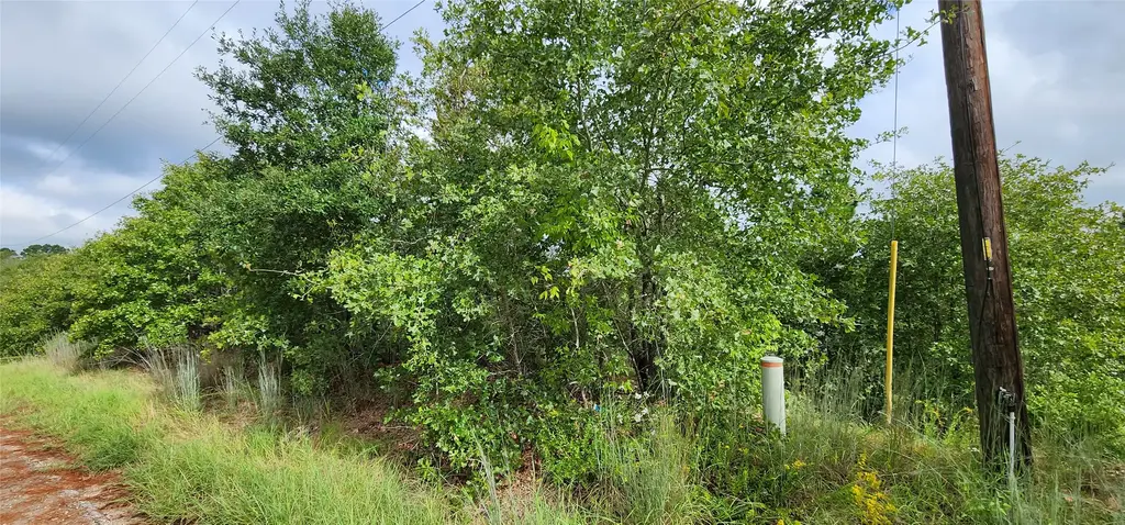 Tbd Homonu (lot 105) Court, Bastrop
