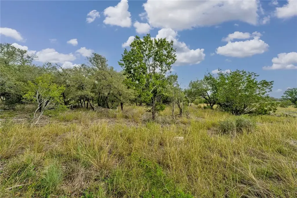 104 Rocky Summit Court, Spicewood