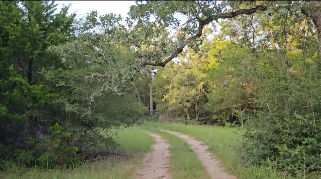 Ranch Land Easley Road, Smithville